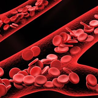 Restaura a elasticidade dos vasos sanguíneos